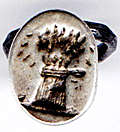SN 6169